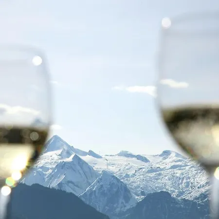 Annika Summer Card Included Apartman Zell am See