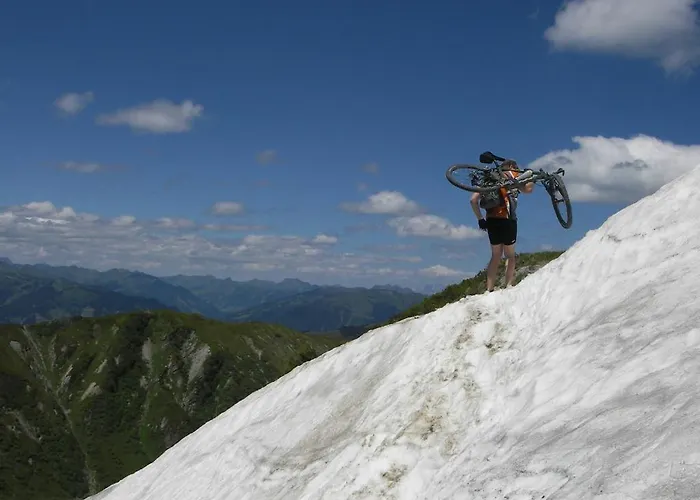 Daire Annika Summer Card Included Zell am See